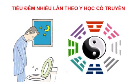 ĐIỀU TRỊ TIỂU ĐÊM NHIỀU LẦN DỨT ĐIỂM NHỜ PHƯƠNG PHÁP NÀY