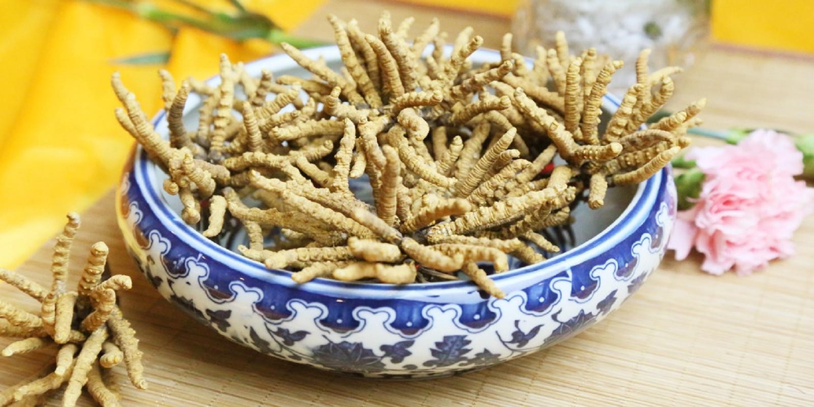 Káº¿t quáº£ hÃ¬nh áº£nh cho ÄÃ´ng trÃ¹ng háº¡ tháº£o Äiá»u trá» tháº­n